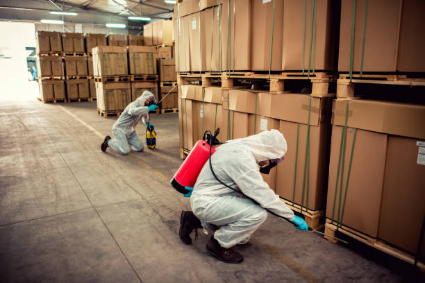 Flea Control Services in Anderson Island, WA